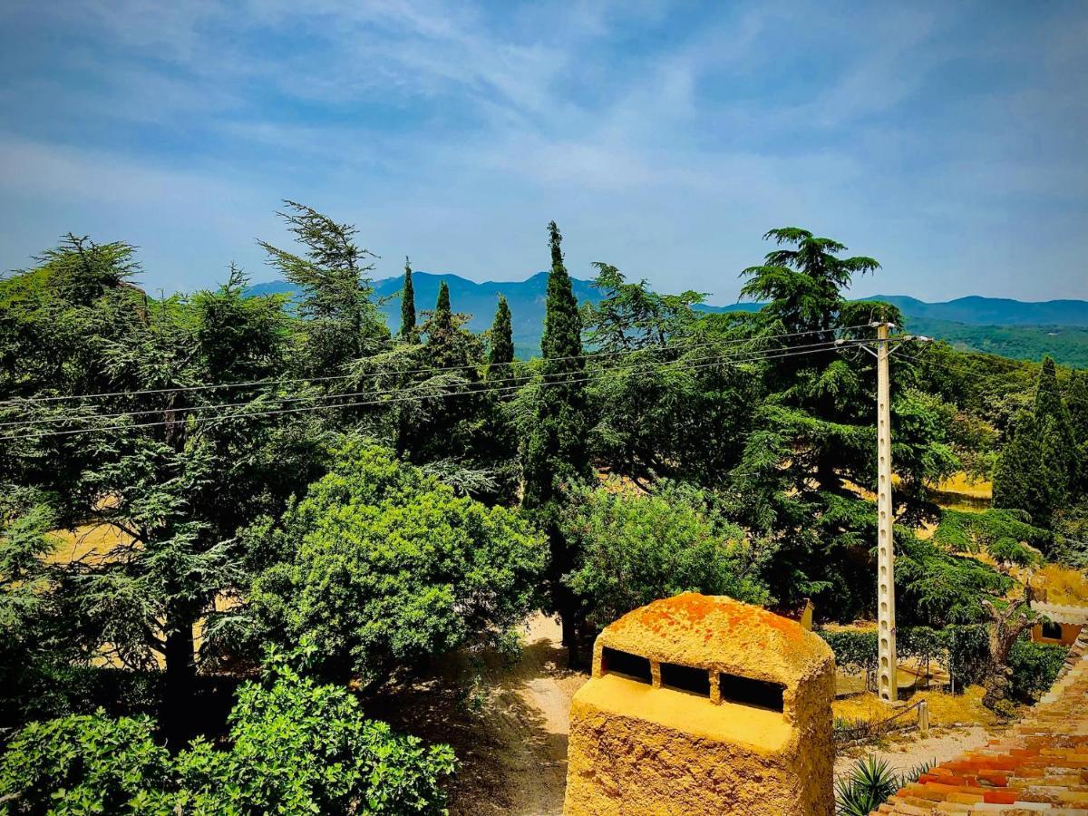 Darnius Masia Mimosa מראה חיצוני תמונה