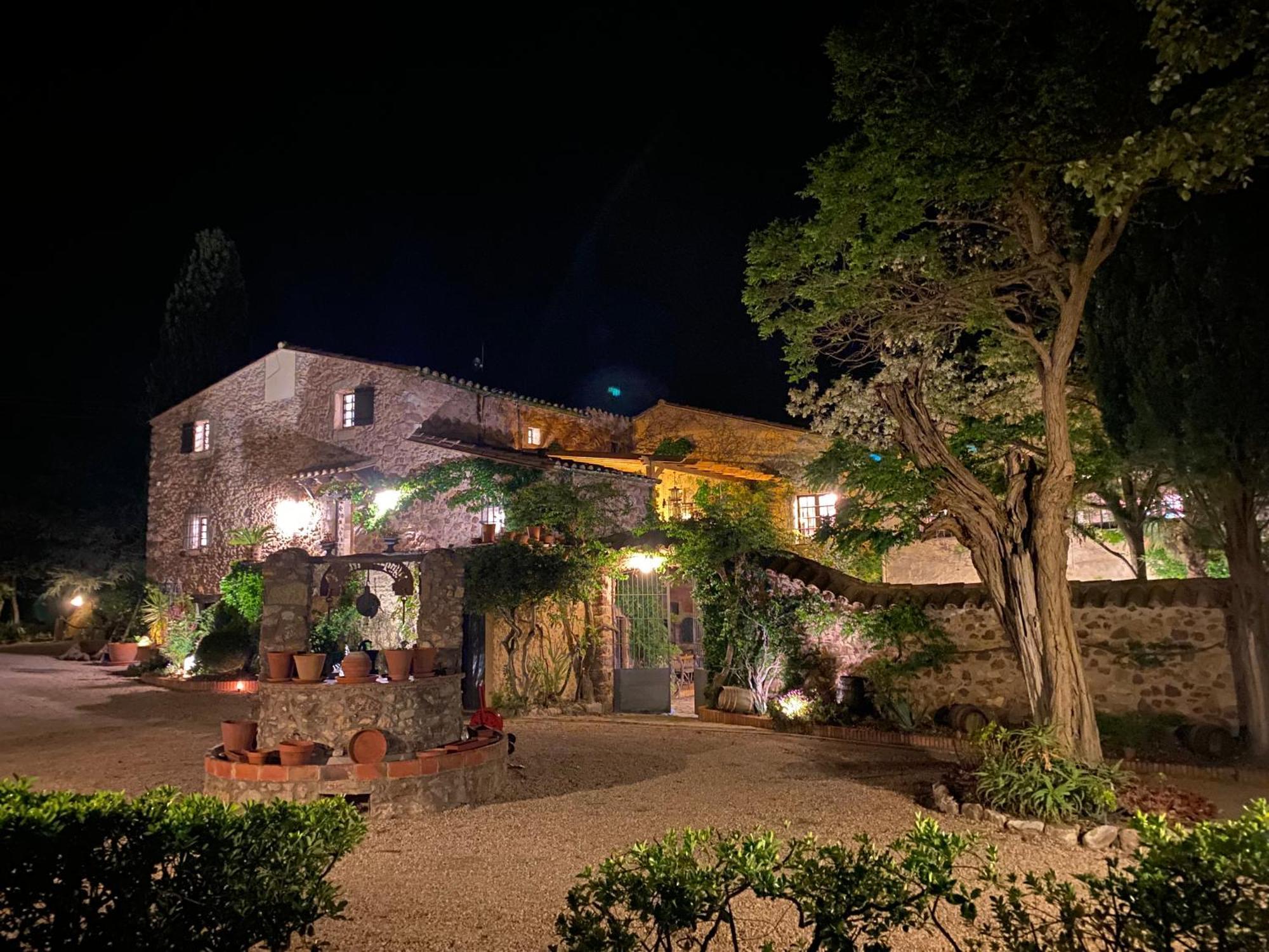 Darnius Masia Mimosa מראה חיצוני תמונה